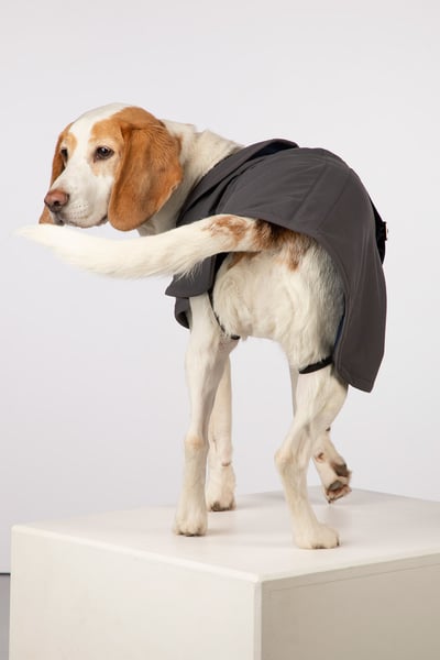 Fleece Lined Dog Coat - Yapham - Dark Grey