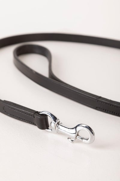 Thin Dog Lead - Leather - Black