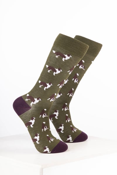 Damen-Hundesocken - Border Collie Dunkeloliv