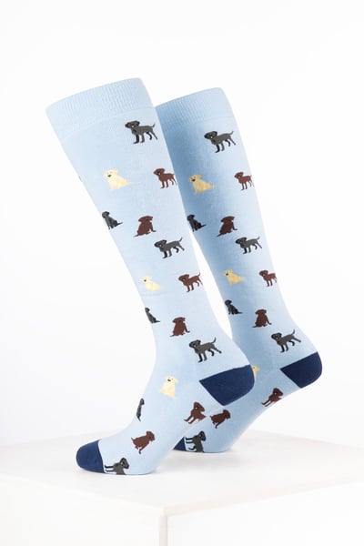 Women’s Dog Welly Socks - Labrador Soft Blue
