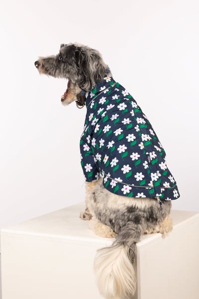 Patterned Dog Raincoats - Yapham - Daisy