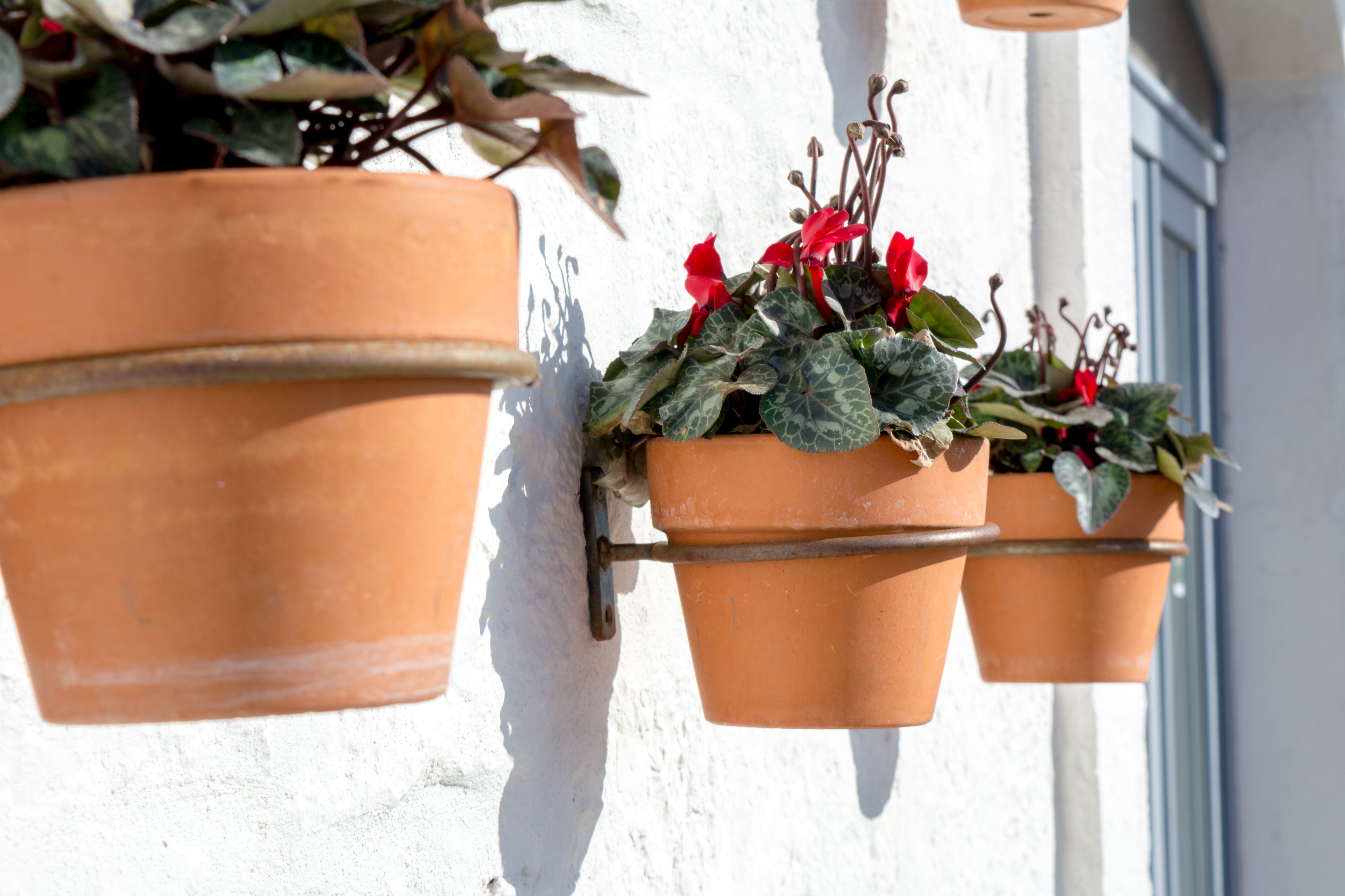 Wall-mounted terracotta planters on an exterior wall, a space-saving way to add greenery in compact outdoor areas.