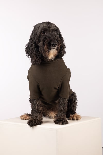 Fleece Dog Jumper - Yapham - Dark Olive