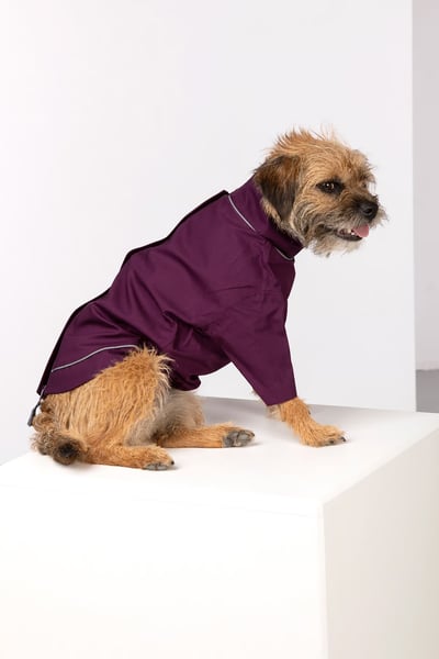 Dog Raincoats - Yapham - Berry