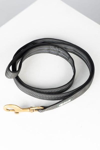 Reflective Dog Lead - Yapham - Blue