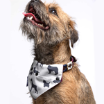 Dog Bandanas Image
