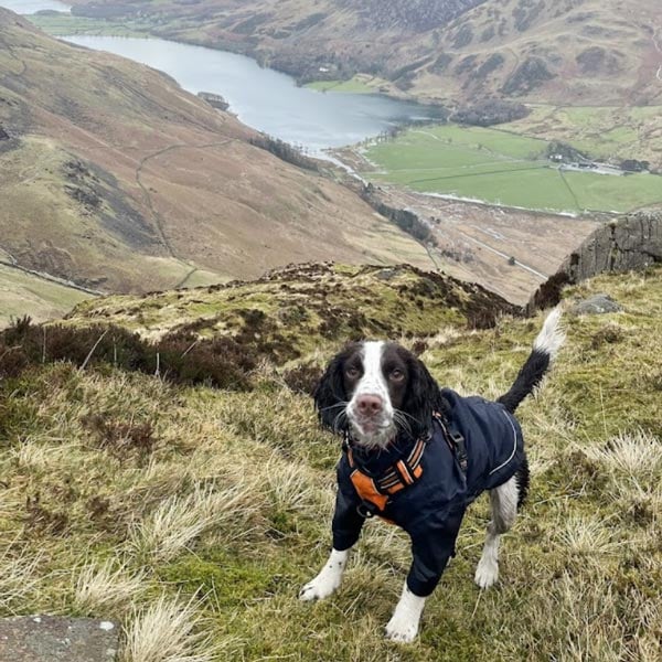 Rydale Product Placeholder Logo