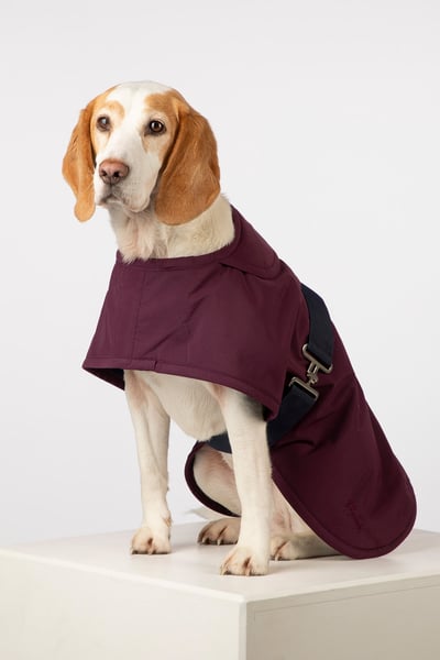 Fleece Lined Dog Coat - Yapham - Dark Berry