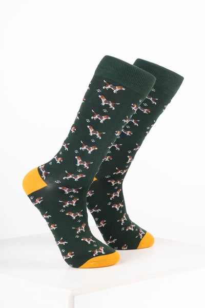 Chaussettes pour chiens pour hommes - Beagle Olive Foncé