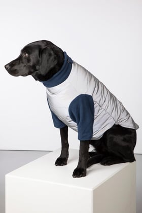 Rydale wax best sale dog coat