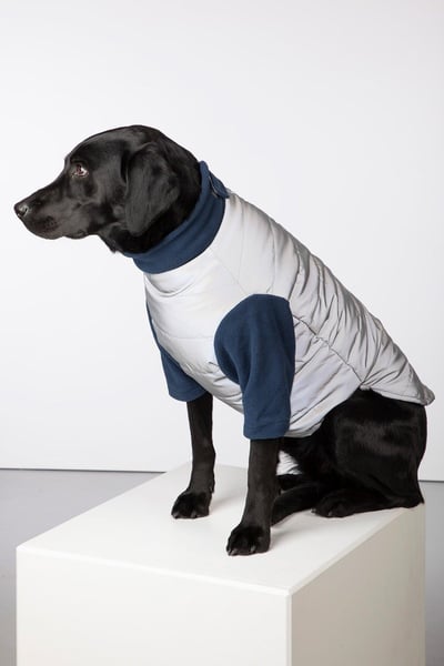 Reflective Dog Jumper - Muston - Hi Vis Silver