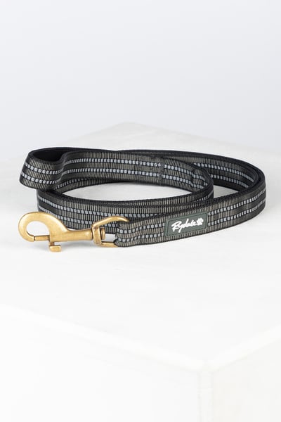 Reflective Dog Lead - Yapham - Blue