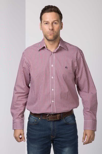 Klassische Oxford-Baumwollhemden für Herren - Daniel Wein