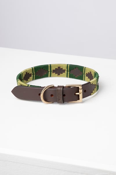 Polo Belt Dog Collar - Brown/Green/Olive