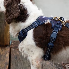 Rydale Product Placeholder Logo