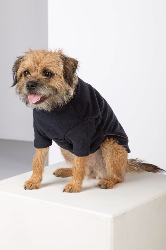 Rydale dog jumper shop