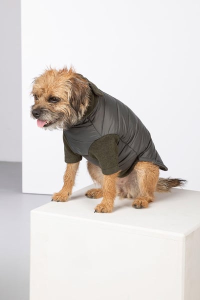 Hybrid Quilted Dog Jumper - Huggate - Marl Khaki