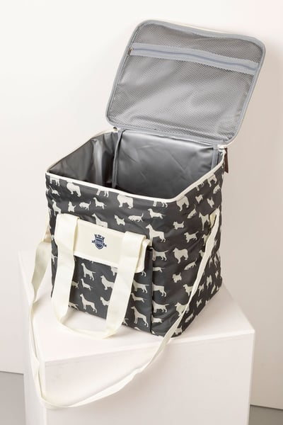 Insulated Family Cool Bag - Grey