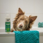 Shampoo & Grooming