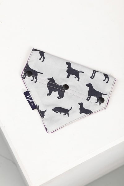 Dog Bandana - Violet