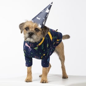 10 Dog Birthday Gifts