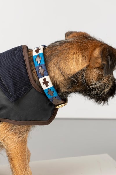 Collier pour chien Polo Belt - Bleu/Blanc/Marine