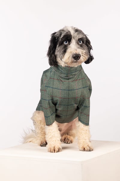 Patterned Dog Raincoats - Yapham - Kate Tweed