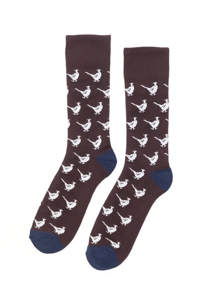 Men's Walking Pheasant Socks - Dark Brown