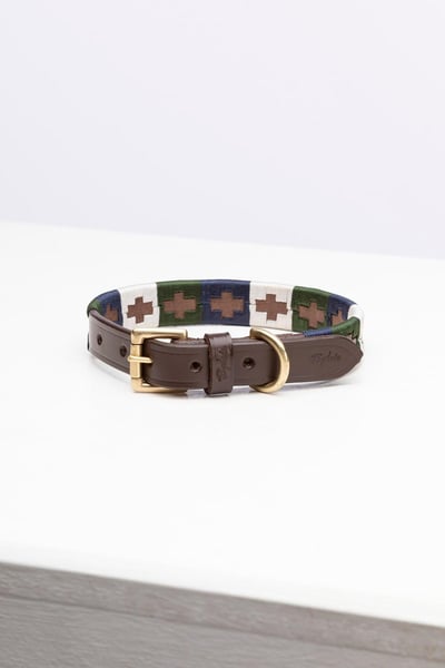 Polo Belt Dog Collar - Khaki/Navy/Gold