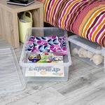 Underbed Storage