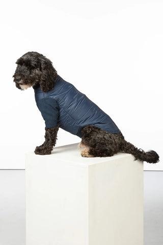 Quilted Dog Jumper