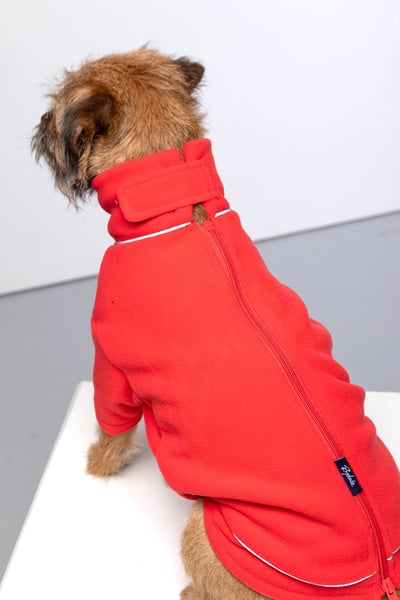 Fleece-Hundepullover - Yapham - Rot