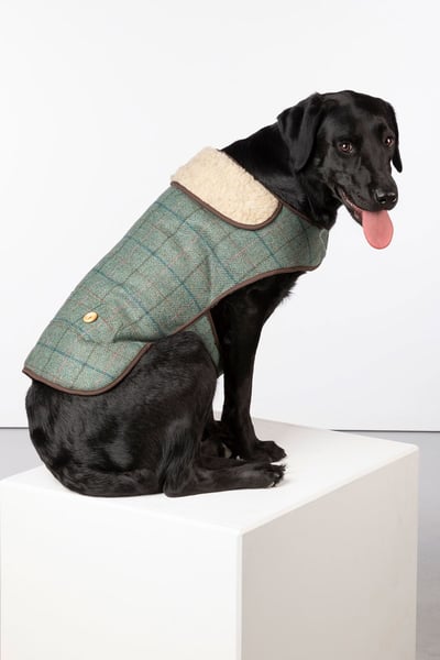 Tweed Dog Coat - Kate Tweed