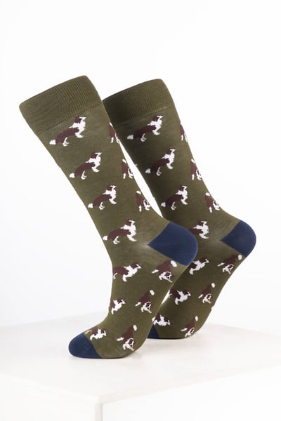 Chaussettes pour chiens pour hommes - Border Collie Vert Olive Foncé