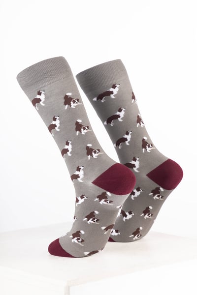 Men’s Bamboo Rich Dog Ankle Socks - Border Collie Grey
