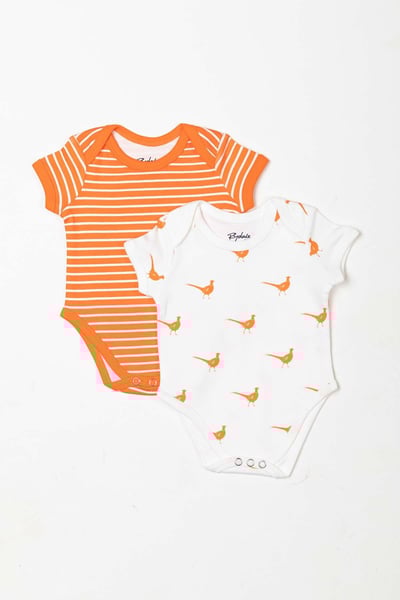 Baby Bodysuits (2 Pack) - Pheasant Orange