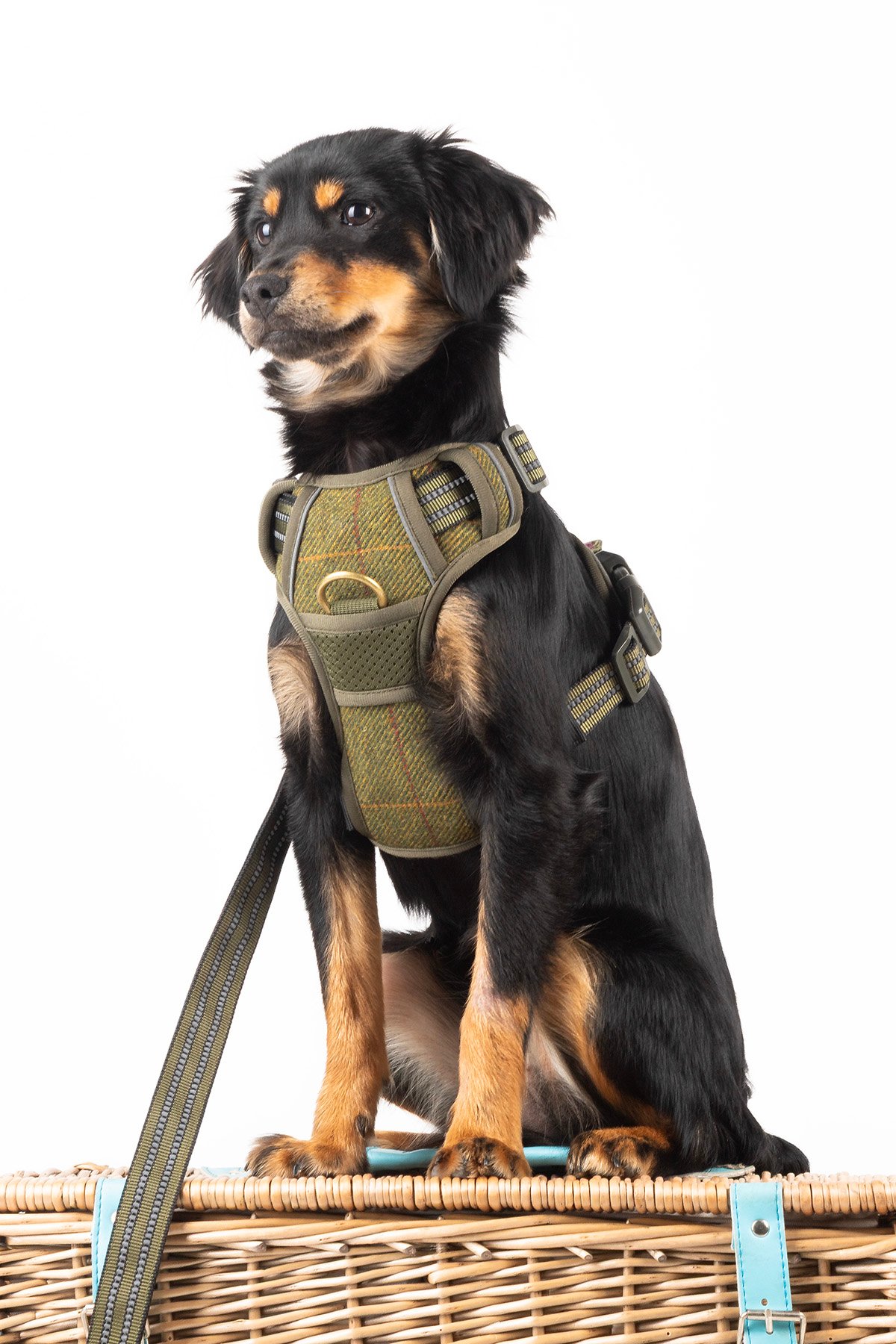 Harnais réfléchissant pour chien Yapham Olive Tweed
