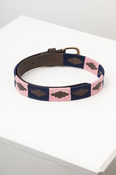 Ceintures Polo Junior - Askwith - Marron/Marine/Sorbet