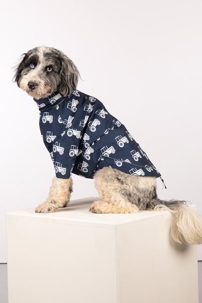 Spritzschutz für Hunde - Yapham - Traktor Marine