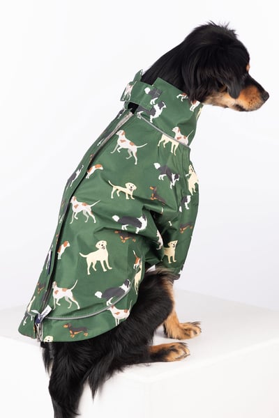 Spritzschutz für Hunde - Yapham - Schwanzwedelnder Hund