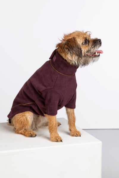 Suéter de lana para perros - Huggate - Borgoña oscuro