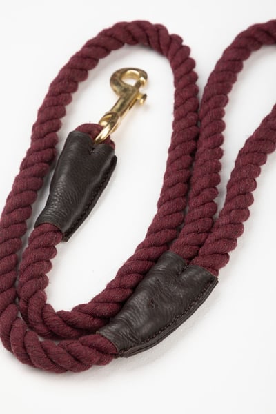 Correa de cuerda para perros - Yapham - Baya