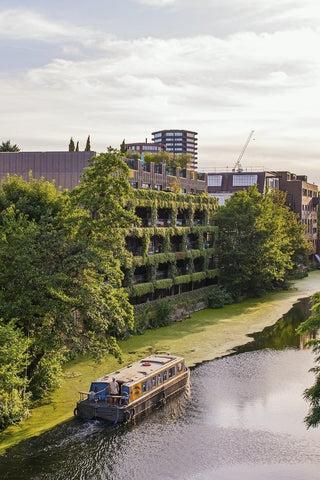 Promenades de chiens à Londres