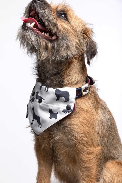 Dog Bandana - Charcoal