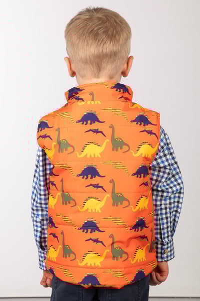 Toddler Padded Splash Gilet - Dinosaurs