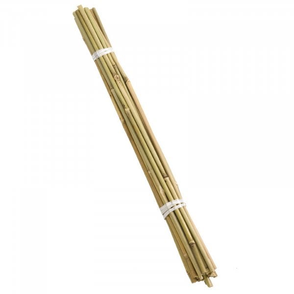 Natural Bamboo Canes | Long Growing Support Garden Canes UK