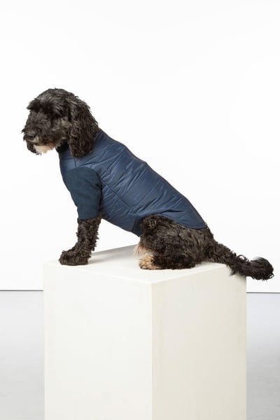 Hybrid Quilted Dog Jumper - Huggate - Marl Navy