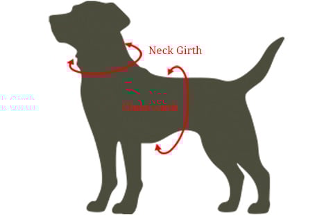Dog Harness Size Guide