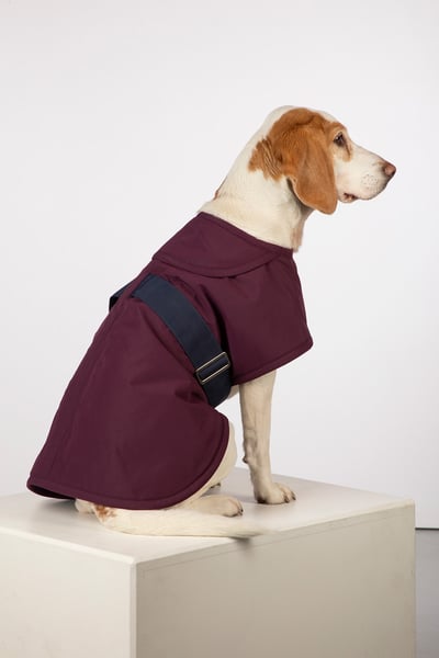 Fleece Lined Dog Coat - Yapham - Dark Berry