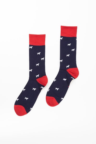 Men's Walking Dog Socks - Navy/Red